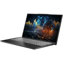 CAPTIVA Business/Office I10-0910GE 15,6" Intel Core i7-1355U 64 GB RAM 2 TB SSD Win11 Home Schwarz