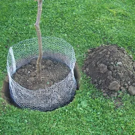 Kerbl Wühlmauskorb unverzinkt 40 cm