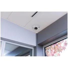 ABUS IP Mini Dome 4 MP Weiß