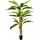 aplanta Künstlicher Bananenbaum - Pauline | 300 cm