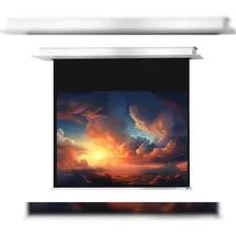 Celexon Deckeneinbauleinwand Motor Professional Plus 220 x 165 cm