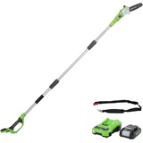 Greenworks G24PS20K2 Akku Hochentaster,20 cm Blattlänge, 6,7 m/s Kettengeschwindigkeit, 3,2 kg, automatisches Öl-System, 50 ml Öltank, 2,6m Stangenreichweite,24V 2Ah Akku & Ladegerät, 3 Jahre Garantie