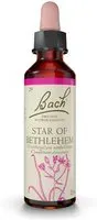 Fleurs de Bach® étoile Bethlehem Goutte(S) 20 ml