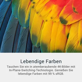 Dell S2725QC 27" Silber