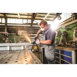 Flex L 13-10 125-EC + FixTec Mutter