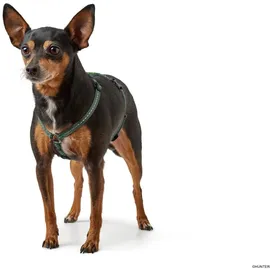 Hunter Tripoli Hundegeschirr Oliv XS-S