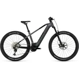 Cube Reaction Hybrid SLT 750 2023 29 Zoll RH 54 cm grau/silber