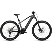 Cube Reaction Hybrid SLT 750 2023 29 Zoll RH 54 cm grau/silber