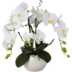 Kunstorchidee »Phalaenopsis«, im Keramiktopf, 41686807-0 weiß H: 55 cm