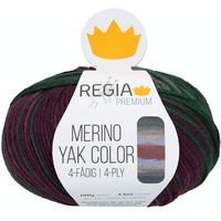 Regia Premium Merino Yak Color, 100G mountain gradient color Handstrickgarne