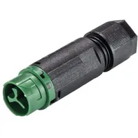 Wieland 46.032.4555.7 Rundstecker Stecker, gerade Serie (Rundsteckverbinder): RST® MINI