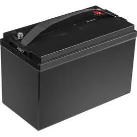 Green Cell Green Cell® AGM30 12V 100Ah