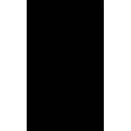 Schulte Duschrückwand Schwarz