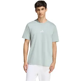 adidas Essentials Small Logo Single Jersey T-Shirt wonder sage/white XXL