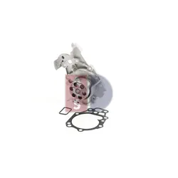 Wasserpumpe Motorkühlung AKS DASIS 570562N für Dacia Renault Logan Clio II Wind