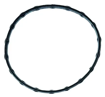 FACET Dichtung, Thermostat 79737 für LEXUS Suzuki