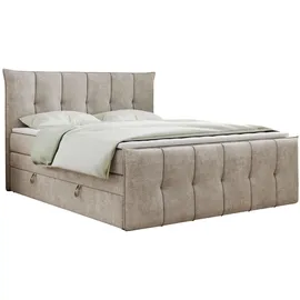 MKS King Boxspringbett 160 x 200 cm H4 Beige