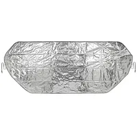 PRO PLUS Anti Eis/ Sonnenschutzfolie, 100x250cm