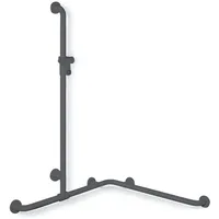 Hewi 801 Duschhandlauf anthrazitgrau mit Brausehalterstange 762 x 1100 mm