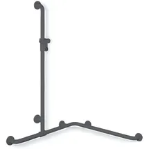 Hewi 801 Duschhandlauf anthrazitgrau mit Brausehalterstange 762 x 1100 mm