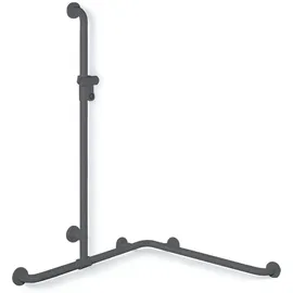 Hewi 801 Duschhandlauf anthrazitgrau mit Brausehalterstange 762 x 1100 mm