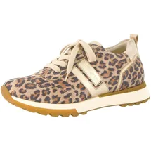Paul Green Sneaker Damen Leo-Optik/Gold 40,5