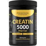 Exvital Creatin 5000 Monohydrat mega caps 350 g