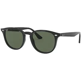Ray-Ban RB4259 601/71 51-20 black/green classic