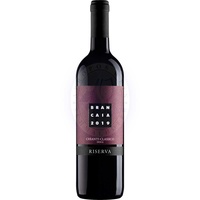 Chianti Classico Riserva 2020 Brancaia 0,75l