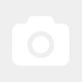 Harry Potter Shop Harry Potter Tragetasche Have you seen - Schwarz