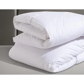 billerbeck Eliana 90, Kassette IV extrawarm