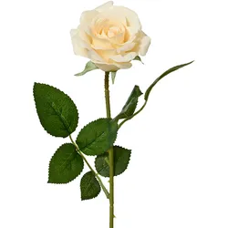 Decoris Künstliche Rose mit Stiel 8x55cm - Kunstblumen Seidenblumen Dekoblumen Blumendeko Stielblumen Blumen Deko Hochzeit Valentinstag Kunstrose Creme