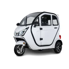 Stormborn Y8 – 3-Rad City-Car für 2 Personen mit bis zu 90 km Reichweite, Rückfahrkamera & Heizung
