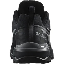 Salomon X Ultra 360 GTX Herren Black / Magnet / Quiet Shade 45 1/3
