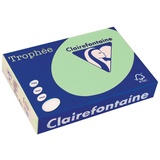 Clairefontaine Trophée A4 160 g/m2 250 Blatt vert nature