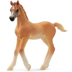 Schleich® 13984 - Araber Fohlen