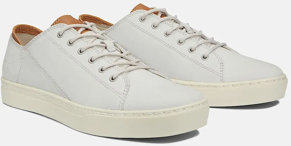 Sneaker TIMBERLAND 