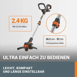 Worx WG163E.1 inkl. 1 x 2,0 Ah