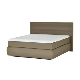 Wohnwert Dormian Bolge High 160 x 122 cm Beige