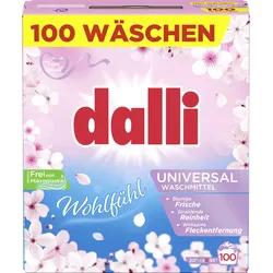 dalli Universalwaschmittel Wohlfühl 100WL