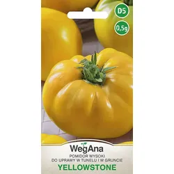 Yellowstone-Tomate GELB 0,5 g Tomatensamen - WegAna