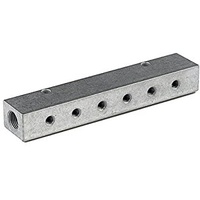 Riegler Verteilerleiste, Abgänge einseitig, Eingang 2x1/8, Ausgang 2xM5