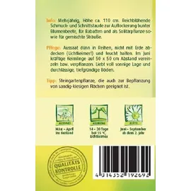 Quedlinburger Saatgut Stauden-Schleierkraut 'Weiss' Quedlinburger Blumensamen