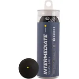 Raquex Squashbälle im 3er-Tube – 4 Geschwindigkeitsoptionen – Elite Doppelgelb, Intermediate Gelb, Rot Squashbälle Anfänger, Junge Spieler Blau. Von der WSF zugelassener Squashball