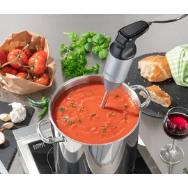 CASO Design HB 2400 Pro XL Stabmixer