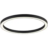 Paul Neuhaus LED Deckenleuchte PURE Lines Round graphite 70cm CCT Fernbedienung