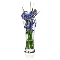 RONA Vase Ambiente transparent