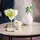 Villeroy & Boch Purismo Bar Margaritaglas 0,34 l 2 St.