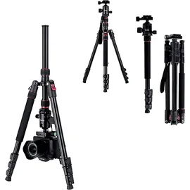 Rollei Compact Traveler No. 2