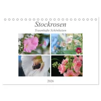 Calvendo Stockrosen - Traumhafte Schönheiten (Tischkalender 2026 DIN A5